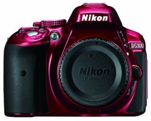 best dslr camera for beginners - Nikon D5300
