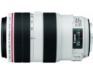 best canon lenses for action and wildlife
