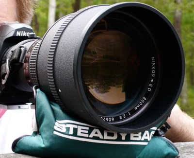 best lenses for action and wildlife