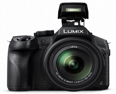 Panasonic LUMIX DMC-FZ330 Review 1